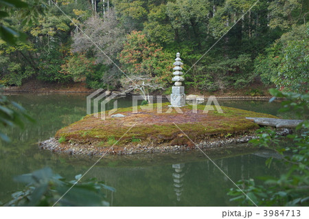安民沢 3984713