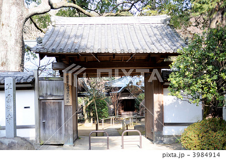 早雲寺山門 3984914