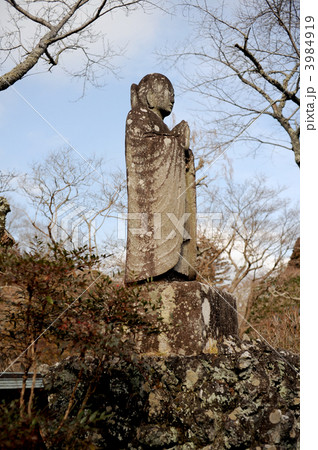 養珠院お万の方 3984919