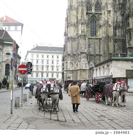 ウィーン シュテファン寺院前広場 ウィーン シュテファン寺院前広場 3984963