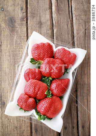 プラスチックパックに入った不揃いの大粒あまおうイチゴ 3986734