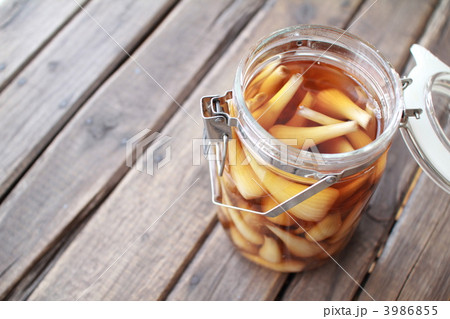 自家製の無農薬らっきょうの甘酢漬の瓶 3986855