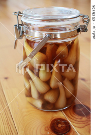 自家製の無農薬らっきょうの甘酢漬の瓶 3986856