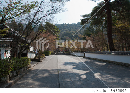 禅林寺こと永観堂の参道 3986892