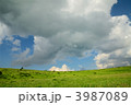 3987089