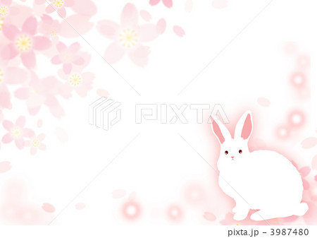 桜とうさぎ 3987480