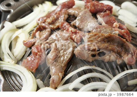 ジンギスカン 3987664