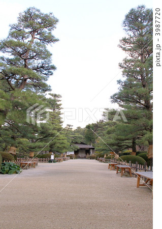 縮景園 3987720