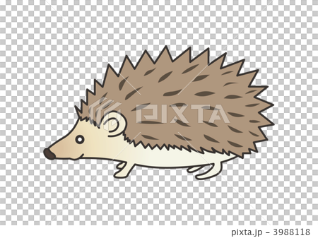 ハリネズミ ハリネズミ 3988118