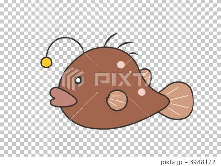 安康魚 安康魚 3988122