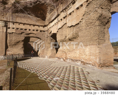 カラカラ浴場 3988480