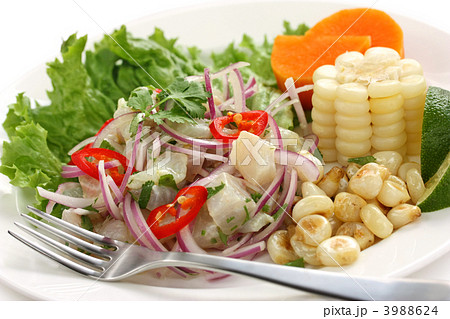 セビッチェ セビッチェ 3988624