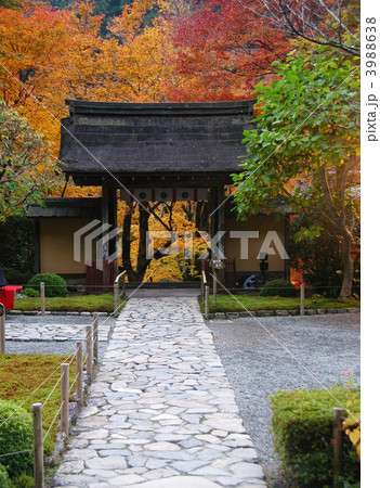 寂光院の秋 寂光院の秋 3988638