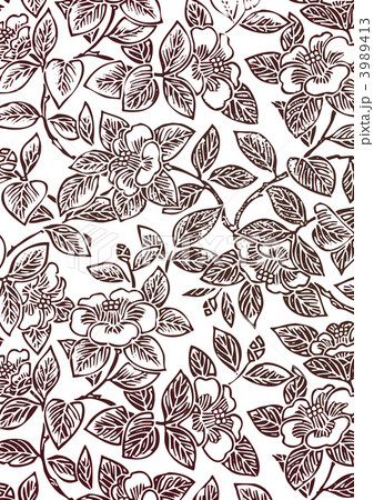 寒椿 かんつばき ふゆつばきのイラスト素材