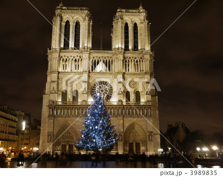 ノートルダム大聖堂とクリスマスツリー ノートルダム大聖堂とクリスマスツリー 3989835