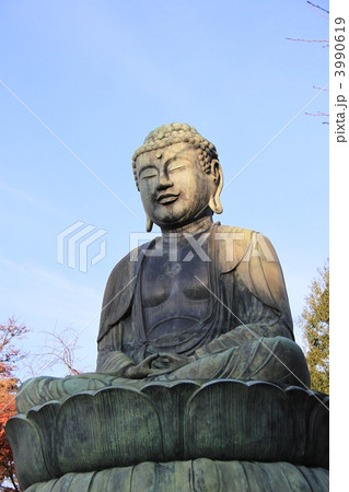 護国寺の「大仏」 3990619