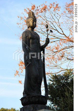 護国寺の「観音さま」 3990629