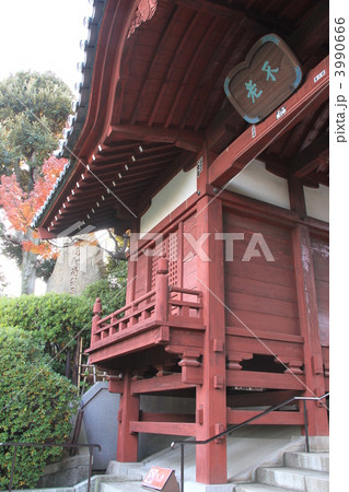 護国寺の「不老門」 3990666