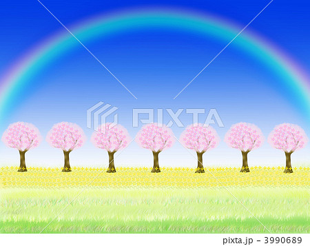 桜並木と虹のイラスト 3990689