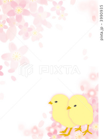 桜とひよこ 3990935