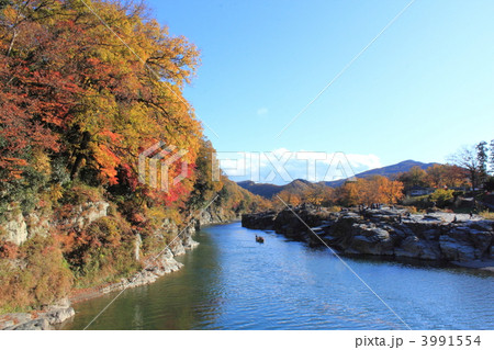 長瀞の紅葉 3991554