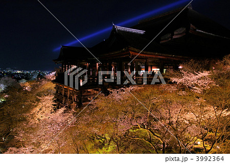 京都清水寺の夜桜 3992364