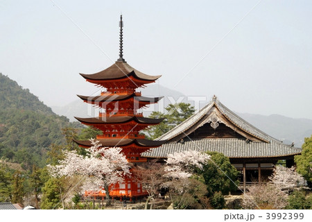 桜咲く　五重塔と　千畳閣 3992399