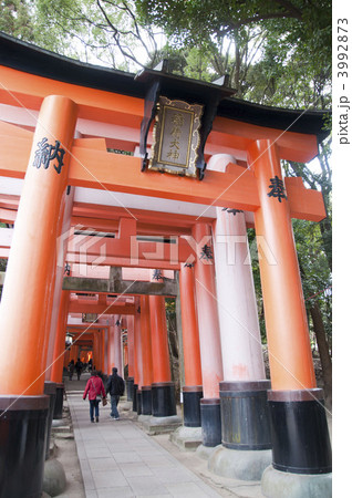稲荷神社の鳥居の入り口付近 稲荷神社の鳥居の入り口付近 3992873