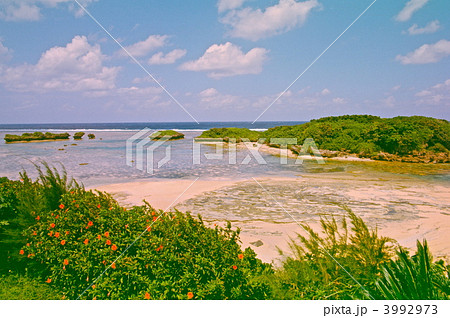 星砂の浜（西表島／沖縄県） 3992973