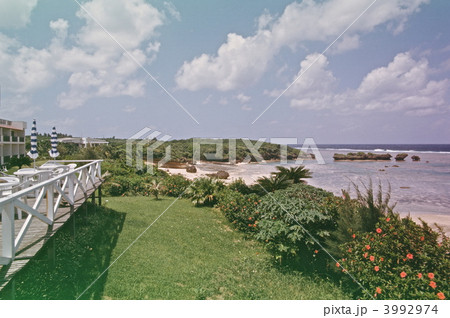 星砂の浜（西表島／沖縄県） 3992974