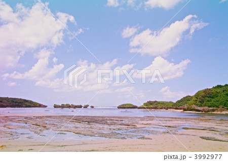 星砂の浜（西表島／沖縄県） 3992977