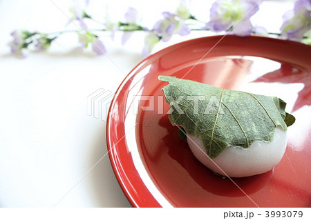 子どもの日　柏餅 3993079