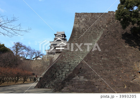 熊本城武者返し 3993205