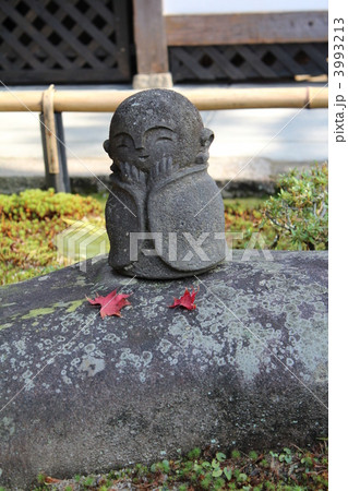 圓光寺のわらべ地蔵ともみじ 圓光寺のわらべ地蔵ともみじ 3993213