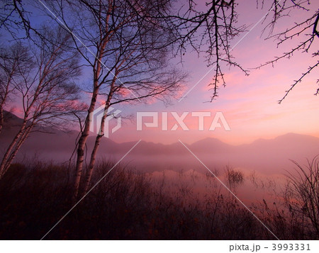 幻の小田代湖 3993331