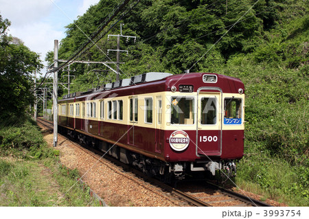能勢電鉄1500F 100周年記念号 3993754