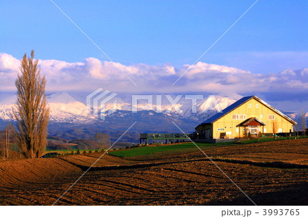 夕暮れのケンとメリー 夕暮れのケンとメリー 3993765