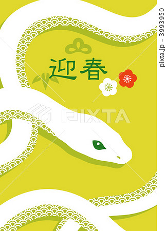 白ヘビ ヘビ 和柄のイラスト素材