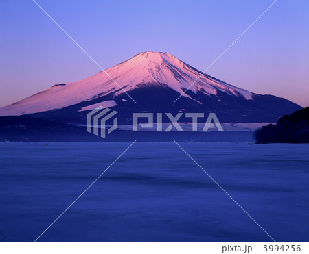 凍結した山中湖と富士山 3994256