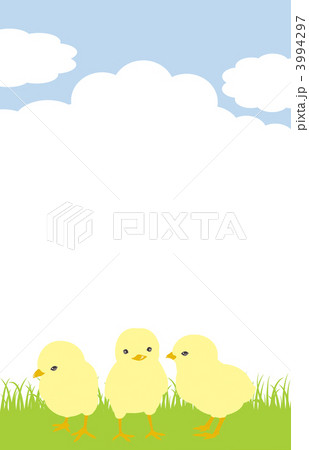 草原のひよこ 3994297