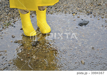 梅雨 梅雨 3994367