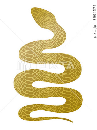 ヘビ柄ゴールドシルエットのイラスト素材