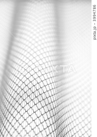レースのカーテン 3994786