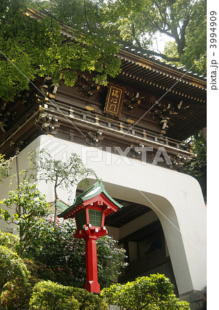 新緑の江ノ島神社瑞心門 3994909