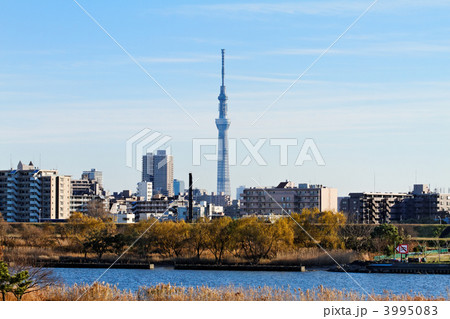 青空が広がる川の手住宅街と東京スカイツリー 青空が広がる川の手住宅街と東京スカイツリー 3995083