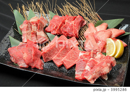 焼き肉盛り合わせ 3995286