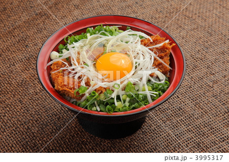 ねぎかつ丼 3995317