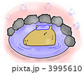カピバラ温泉 3995610