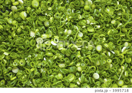 葱のバックグラウンド 3995718