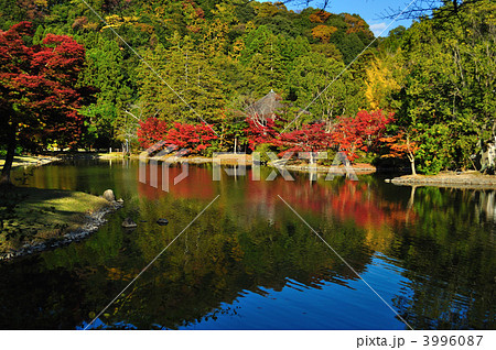 白水阿弥陀堂 3996087